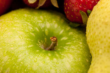 green appleの写真素材