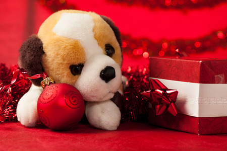 Toy dog with christmas ornaments over redの写真素材