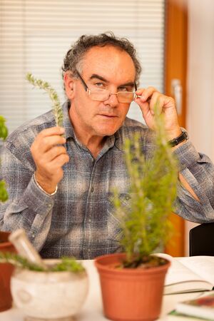 Workshop of knowing herbs, touching and smelling basil and thym. Intergenerational transfer of knowledge.の写真素材
