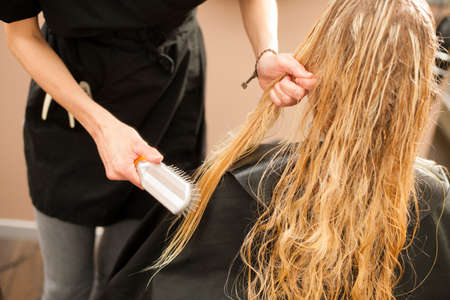 Hair stylist at work - hairdresser combing hair to the customer before doing hairstyle in a professional salonの写真素材