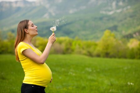 young pregnant woman blowing dandelion seeds on a meadowの写真素材
