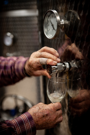 Old winemakers hands pouring a glass of wine from modern inox tankの写真素材