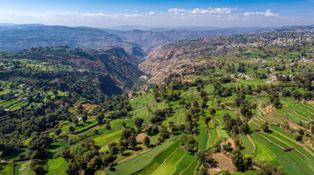 Aerial view of terraced green agricultural fields in a hilly landscapeの素材