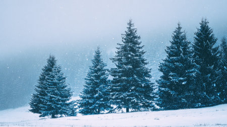 Snow-covered pine trees in a quiet winter forest under soft daylight and falling snowの素材