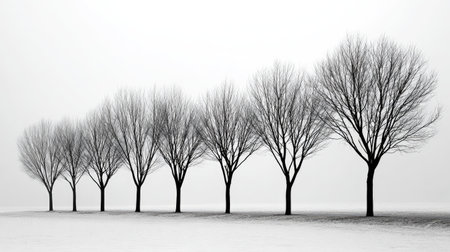 Isolated black trees set in a linear array, emphasizing structure and size differencesの素材