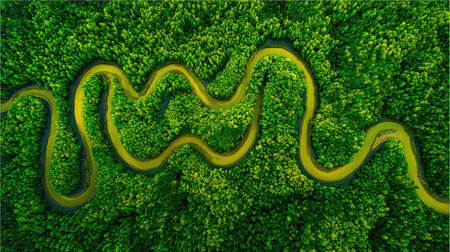 This stunning aerial photograph captures a winding river flowing through a vibrant green forest, showcasing nature's intricate beauty and tranquility.の素材
