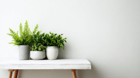 A clean and modern arrangement of various potted plants, including ferns, displayed on a minimalist table against a neutral wall perfect for enhancing interior spaces.の素材