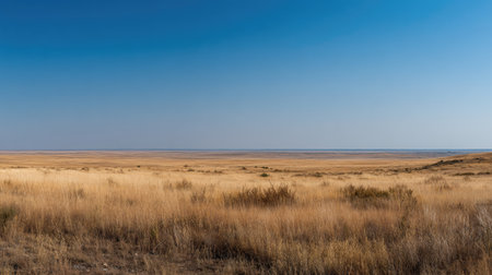 This stunning image captures expansive open plains under a clear blue sky. Lush dry grass stretches towards the distant horizon, evoking tranquility and natural beauty.の素材
