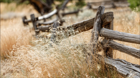 A beautiful rustic wooden fence stands prominently in a field of tall grass, creating a serene and peaceful landscape. The warm tones and soft focus enhance the natural beauty of this outdoor scene, inviting viewers to appreciate the simplicity of rural life.の素材