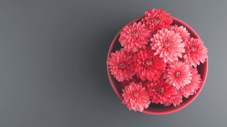 This image features a vibrant arrangement of pink flowers in a round pot against a gray background, creating a fresh and modern aesthetic perfect for decor or nature themes.の素材