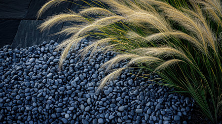 This image showcases the delicate interplay of soft golden grass against a backdrop of smooth blue stone pebbles, highlighting modern landscape design elements.の素材