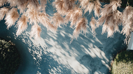 Discover the tranquility of soft pampas grass hanging over a serene pathway, casting gentle shadows and creating a harmonious natural ambiance perfect for relaxation.の素材