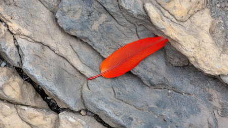 A striking red feather rests delicately on a textured stone surface, showcasing a beautiful contrast between vibrant color and natural elements. Perfect for nature-themed projects.の素材