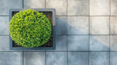 A vibrant green plant in a modern square pot is placed on a stone surface, creating a cozy outdoor atmosphere. Ideal for serene garden or patio themes.の素材