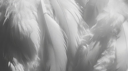 A close-up view of soft white feathers arranged gracefully, showcasing delicate textures and a serene ambiance, ideal for design and artistic projects.の素材