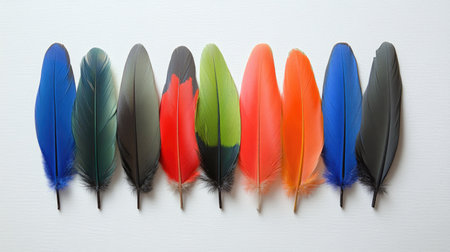 A stunning array of vibrant feathers showcasing diverse colors and textures, perfect for artistic, nature-inspired projects or creative designs.の素材