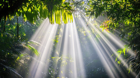 Captivating light rays filtering through a vibrant jungle canopy, creating a serene and mystical atmosphere. Perfect for nature and landscape themes.の素材