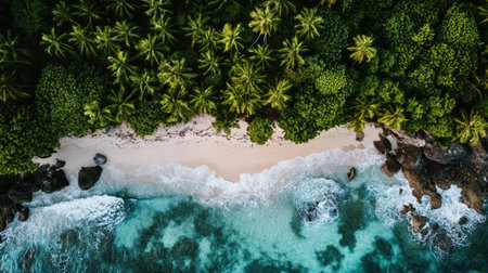 Aerial view of a pristine tropical beach bordered by lush greenery and turquoise waters, showcasing nature's tranquility and beauty. Perfect for travel and relaxation themes.の素材