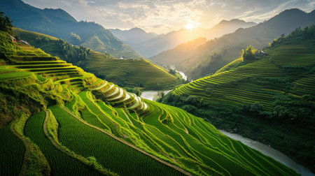 A stunning view of terraced rice fields basking in the warm glow of sunset, surrounded by majestic mountains and a gently flowing river, capturing nature's beauty.の素材