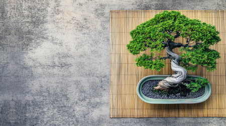A beautiful bonsai tree displayed on a bamboo mat, symbolizing tranquility and harmony. Perfect for creating a calming atmosphere in home decor.の素材