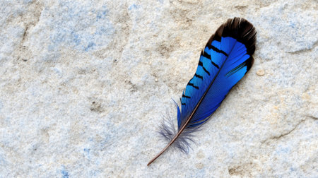 A stunning blue feather rests on a textured surface, showcasing its vibrant color and intricate details. Perfect for nature and wildlife themes.の素材