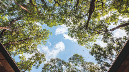 This captivating image showcases a view of trees and a vibrant sky from below, highlighting the beauty of nature and the tranquility of a forest setting.の素材