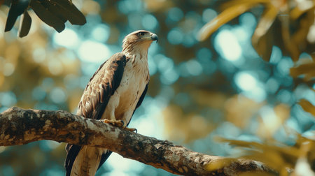 A stunning portrait of a majestic eagle perched on a tree branch, showcasing its intricate feathers against a vibrant nature backdrop. Ideal for wildlife enthusiasts.の素材