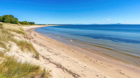 Discover a serene beach landscape featuring gentle waves lapping against golden sands under a clear blue sky, perfect for relaxation and escape.の素材