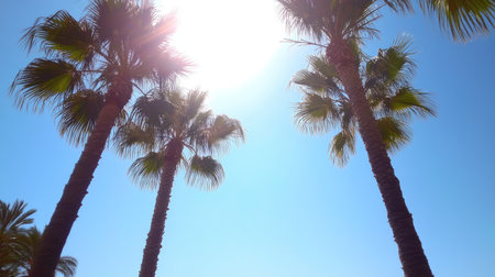 Lush palm trees stretch towards the sun in a bright blue sky, creating a serene and tropical atmosphere, perfect for summer vacations and relaxation.の素材