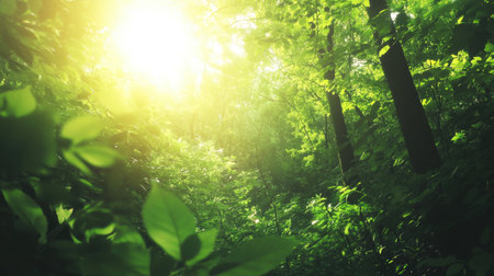 A breathtaking view of a tranquil forest pathway illuminated by warm sunlight. Lush green leaves surround the scene, creating a serene and refreshing atmosphere.の素材