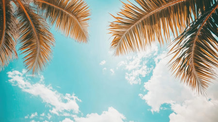 A stunning view of palm tree leaves reaching towards a bright blue sky filled with soft clouds, capturing a serene tropical atmosphere perfect for vacations.の素材