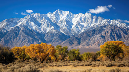 Breathtaking view of a majestic snow-capped mountain range under a clear blue sky. Vibrant autumn trees enhance the beautiful natural scenery.の素材