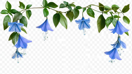 Charming blue flower vine with lush green leaves elegantly draping against a white background, perfect for nature-themed designs and floral arrangements.の素材