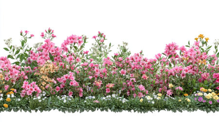 A vibrant display of pink and yellow flowers with lush greenery against a white background, perfect for nature-themed designs and floral compositions.の素材