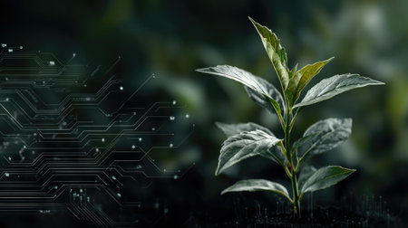 A vibrant green plant emerges from dark soil, intertwined with digital circuit patterns, symbolizing the connection between nature and technology in a modern world.の素材