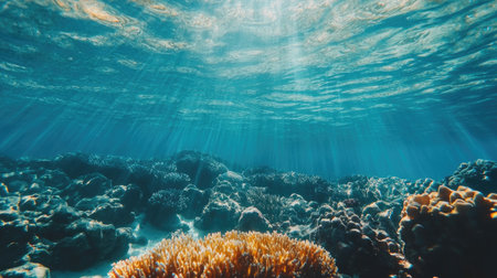 Explore a serene underwater scene showcasing vibrant coral formations illuminated by rays of sunlight filtering through the clear blue water, creating a peaceful and picturesque marine environment.の素材