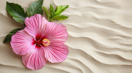 A stunning pink hibiscus flower rests gently on a soft sandy background, surrounded by green leaves, showcasing vibrant colors and tranquil beauty.の素材