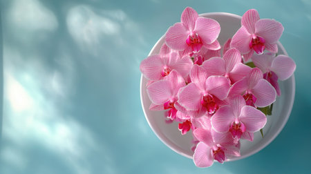 Beautiful pink orchid blooms arranged in a white bowl showcase their delicate petals against a soft blue background, creating a serene and elegant vibe.の素材