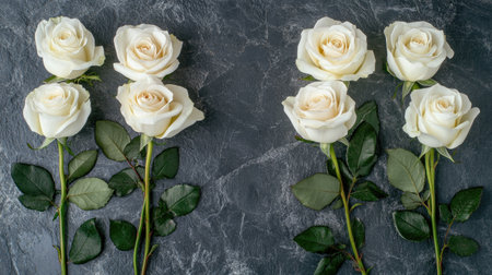 A stunning arrangement of elegant white roses displayed on a dark stone background, perfect for showcasing nature's beauty and simplicity in floral design.の素材