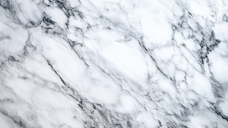 Discover the beauty of this elegant white marble surface featuring soft gray veins, perfect for interior or exterior design projects and architectural highlights.の素材