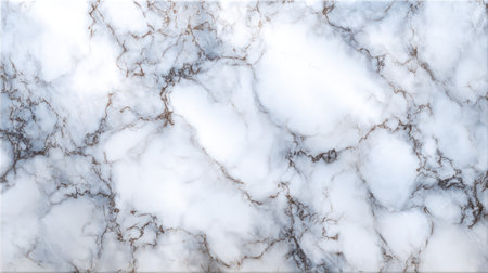 Elegant white marble surface featuring intricate grey veins ideal for creating stylish backgrounds or enhancing interior design projects with a luxurious touch.の素材