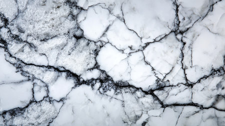 Explore a stunning white marble surface showcasing distinctive black veins and subtle textures, perfect for enhancing any interior design project or architectural concept.の素材