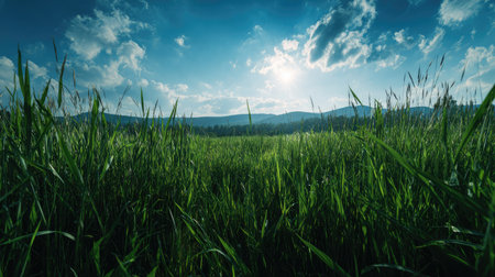 A breathtaking landscape showcasing vibrant green grass swaying gently under a clear blue sky filled with fluffy white clouds and a radiant sun shining brightly.の素材