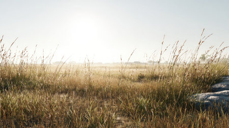 A serene meadow filled with tall grass basking in the warm glow of sunlight creates a tranquil landscape. The clear blue sky enhances the peaceful atmosphere of nature.の素材