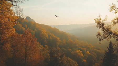 This stunning autumn landscape features vibrant foliage and distant mountains, illuminated by soft morning light, creating a peaceful and serene atmosphere.の素材
