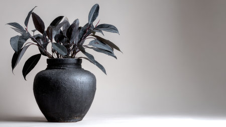A striking black ceramic vase holds dark foliage, creating a stunning contrast against a soft background. Ideal for enhancing modern and minimalist interiors.の素材