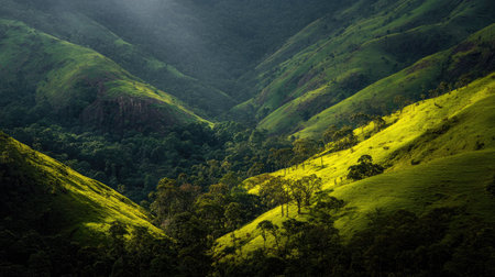 Experience the breathtaking beauty of rolling green hills and valleys where soft sunlight gently illuminates lush forests, creating a serene natural landscape.の素材