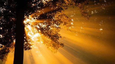 Beautiful sun rays illuminate a peaceful forest, with golden light filtering through lush green leaves, creating a serene atmosphere perfect for relaxation and reflection.の素材