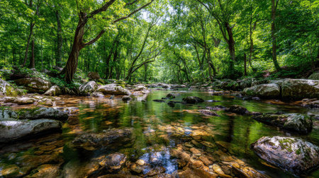A tranquil scene showcasing a serene stream winding through a lush forest with vibrant green trees. The clear water reflects surrounding rocks, creating a peaceful nature view.の素材