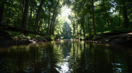 Experience the beauty of a serene forest landscape with a calm river reflecting soft sunlight and surrounded by lush green trees, perfect for nature lovers and outdoor enthusiasts.の素材